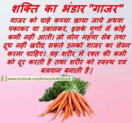 Carrots – the “Power-House”