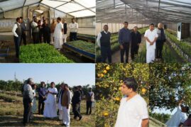 ICAR- Central Citrus Research Institute-नागपुर
